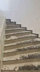 Nacioğlu Yönetim ve Temizlik