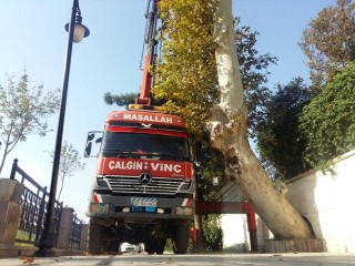 Nacioğlu Yönetim ve Temizlik