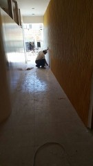 Nacioğlu Yönetim ve Temizlik
