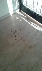 Nacioğlu Yönetim ve Temizlik