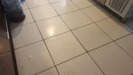 Nacioğlu Temizlik Ve Yönetim